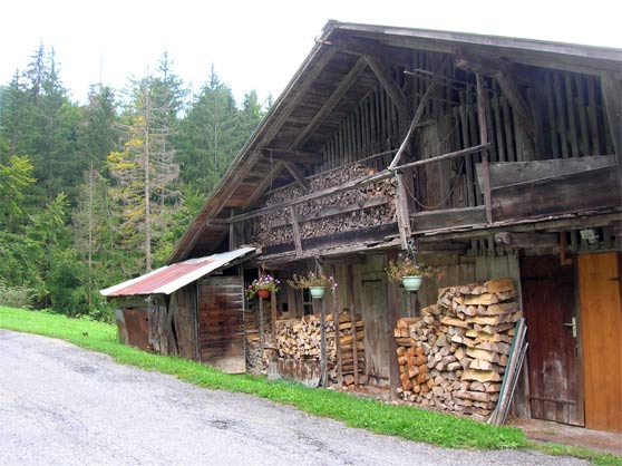 French Log