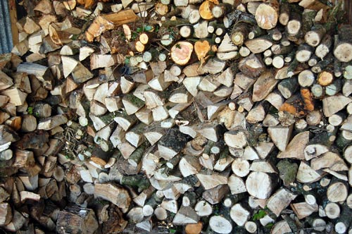 Seasoning wood stoacked for next years firewood