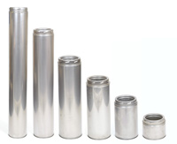 Selkirk twin wall flue - 1200mm length