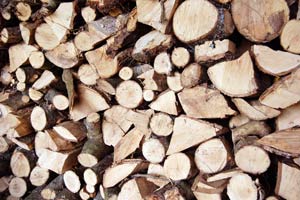 firewood seasoning in a stack