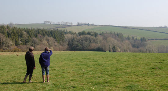 Coombe farm woodland uk