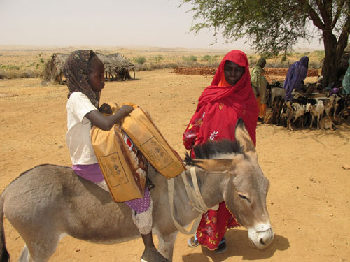 Kids for kids darfur charity blankets and donkeys given to people in need goats loaned