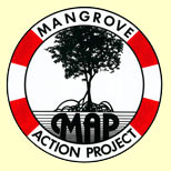 Mangrove Action Project Logo