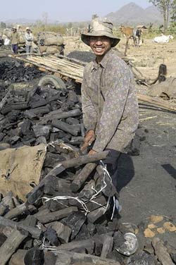 Charcoal prodcution in Cambodia