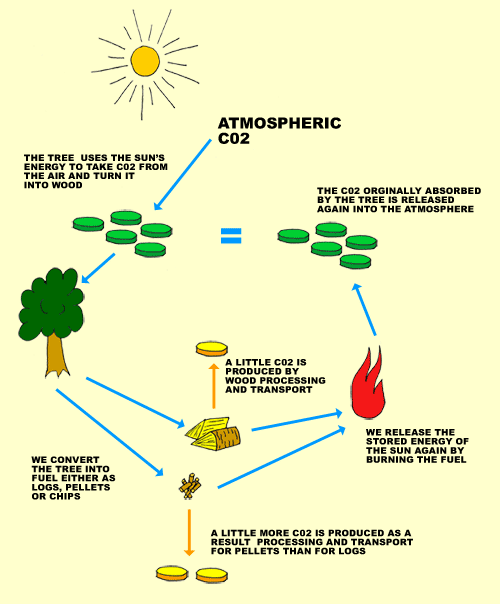 wood fuel carbon cycle