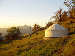 Yurt in field